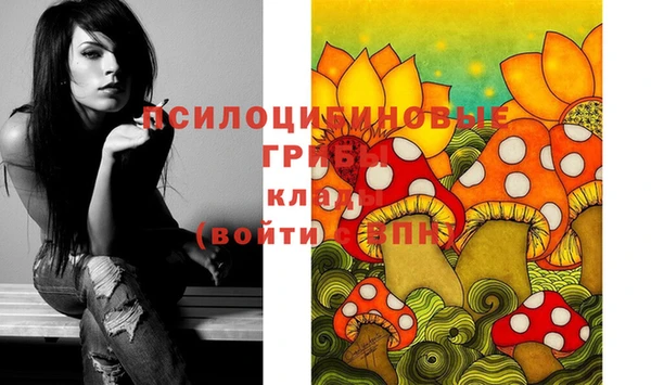 скорость Кинешма
