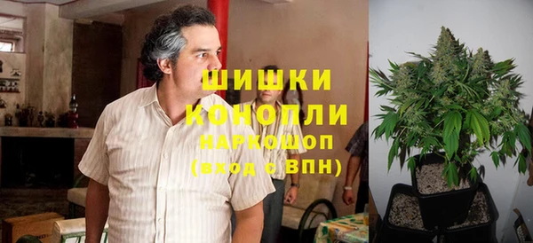 сатива Балабаново