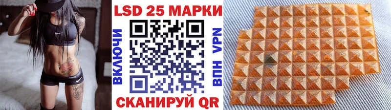 дарнет шоп  kraken ссылки  Марки N-bome 1500мкг  Чадан 